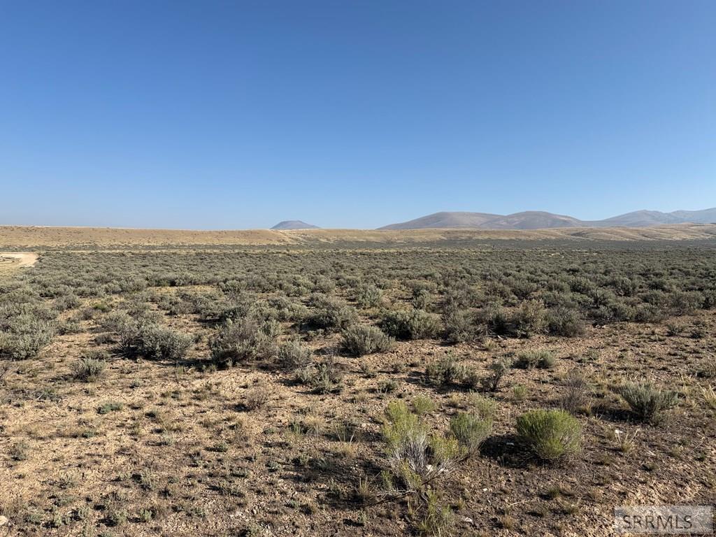 Land in Leadore 2