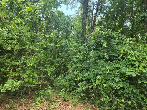 12 Pinewood Dr, Santee, SC, 29142 | Card Image