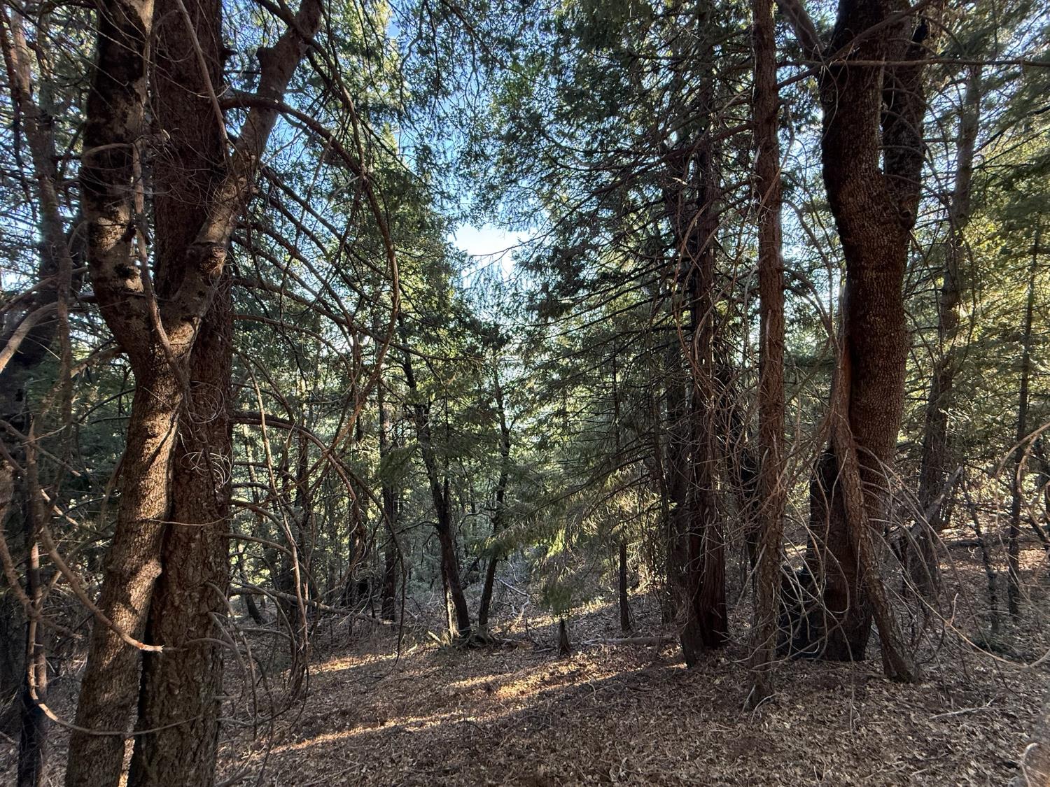Land in Nevada City 4