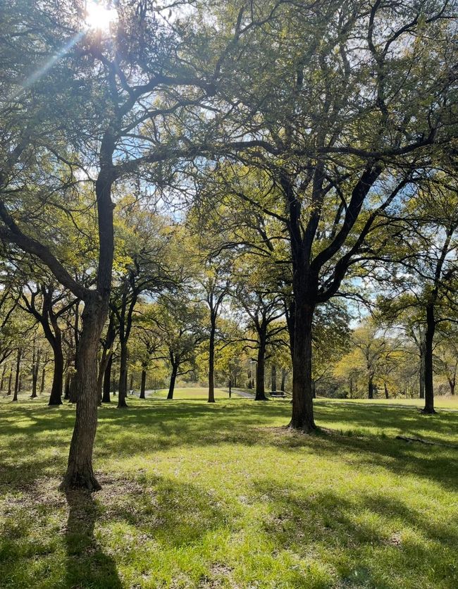 Park right down the street! | Image 32