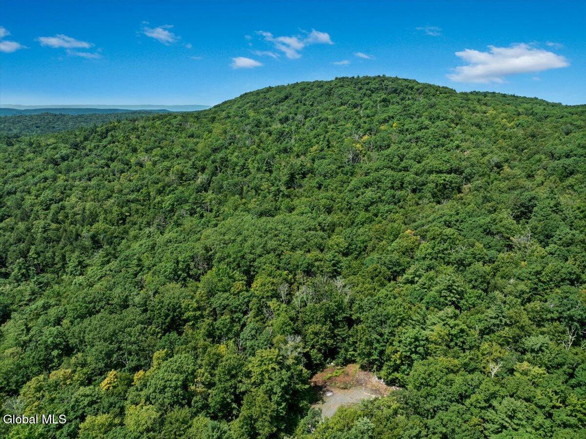 Land in Stephentown 4