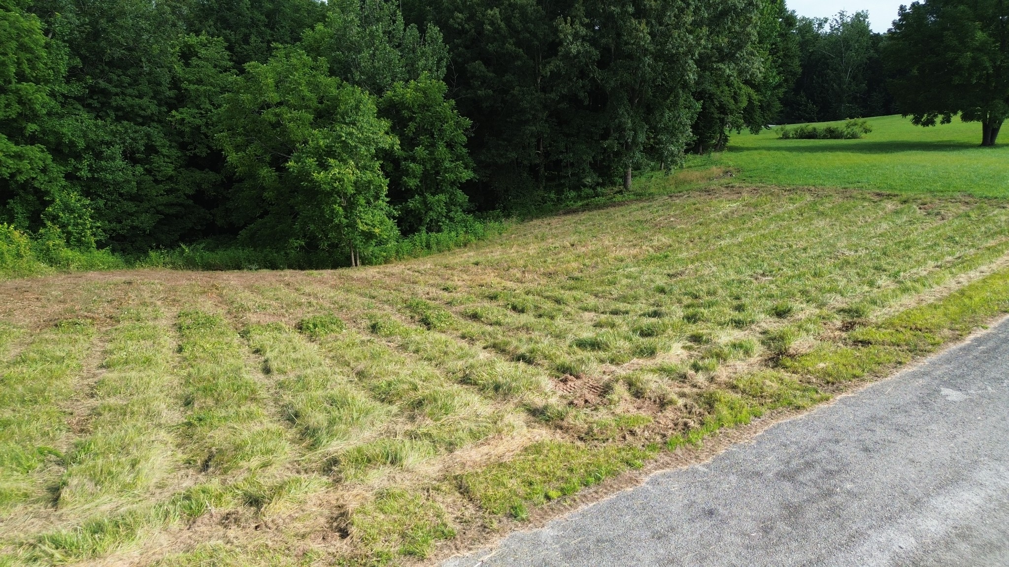 Land in Smithville 2
