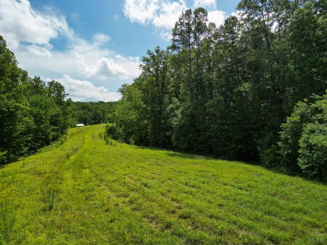 0 Allens Creek Rd, Home with 0 bedrooms, 0 bathrooms and null parking in GLADSTONE VA | Image 18