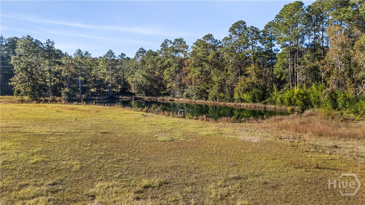 Land in Statesboro 2