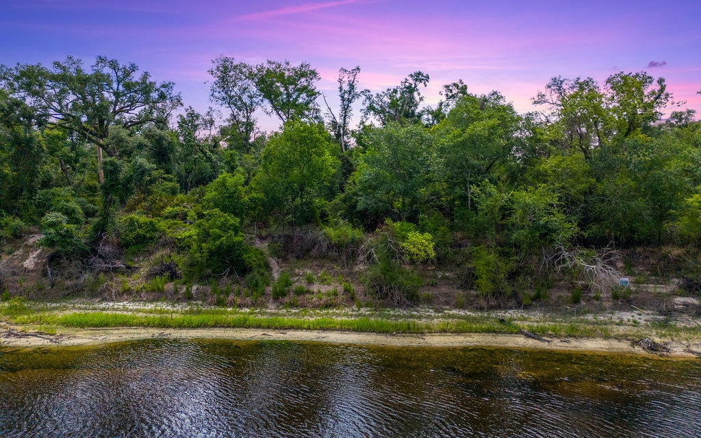 Land in Live Oak 3