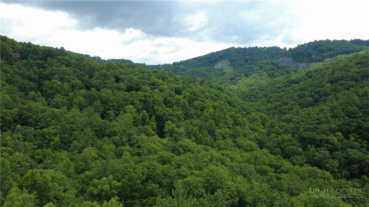 Land in Lenoir 5