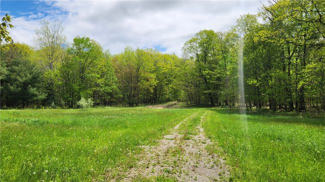 6291 Burke Rd, Home with 0 bedrooms, 0 bathrooms and null parking in Prattsburgh NY | Image 7