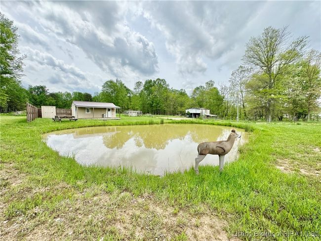 Private Pond | Image 34