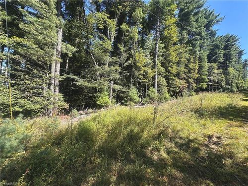 TBD Pine Grove Circle, Glade Valley, NC, 28627 | Card Image