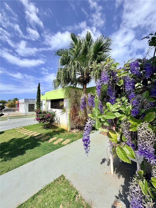 110 Calle Grubbs, Aguadilla, PR, 00603-1502 | Card Image