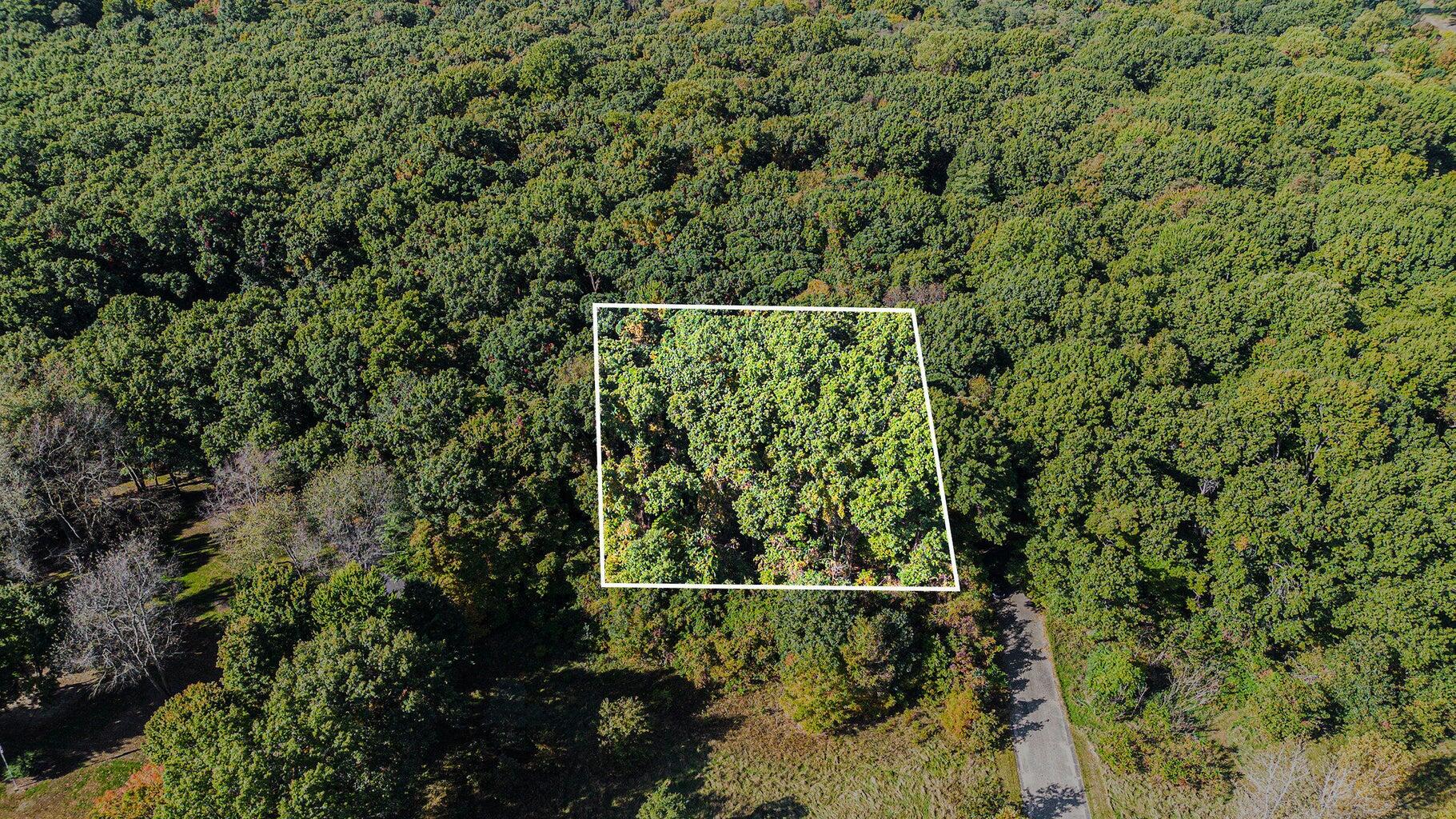 Land in Benton Harbor 2