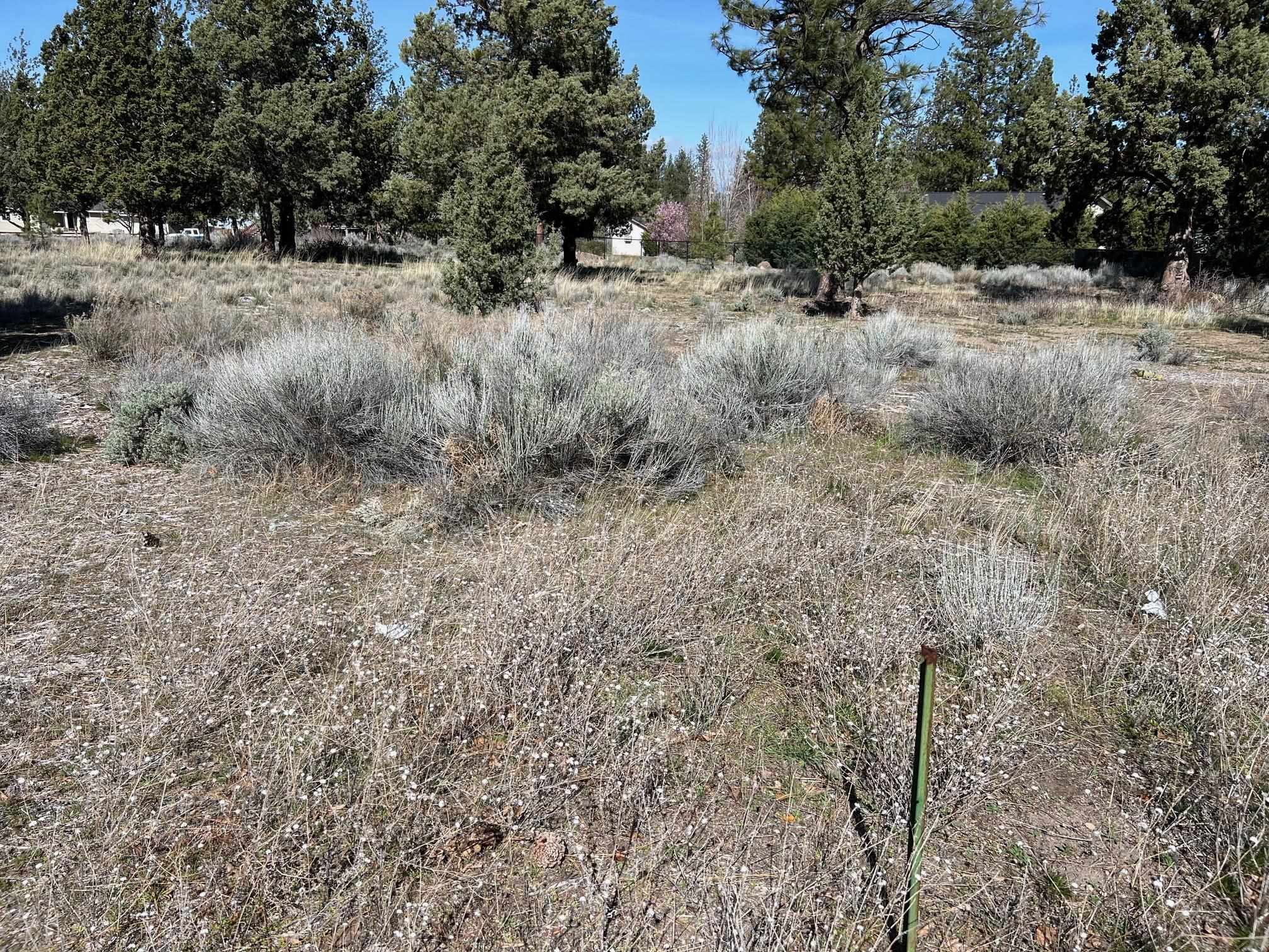 Land in Weed 4