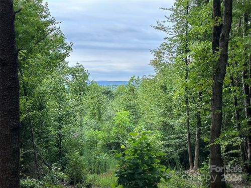 00 River Rd Liberty Grove Rd, North Wilkesboro, NC, 28659 | Card Image