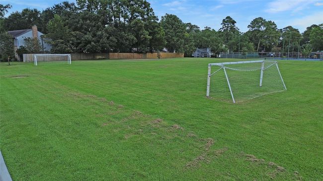 This vibrant neighborhood is a hub of outdoor fun, where soccer goals and open green spaces invite friendly matches any day of the week. | Image 25