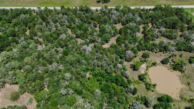1197 Private Road 2071, Home with 4 bedrooms, 3 bathrooms and null parking in Giddings TX | Image 9