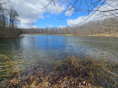 24 Bluemont Dr, Altamont, TN, 37301 | Card Image