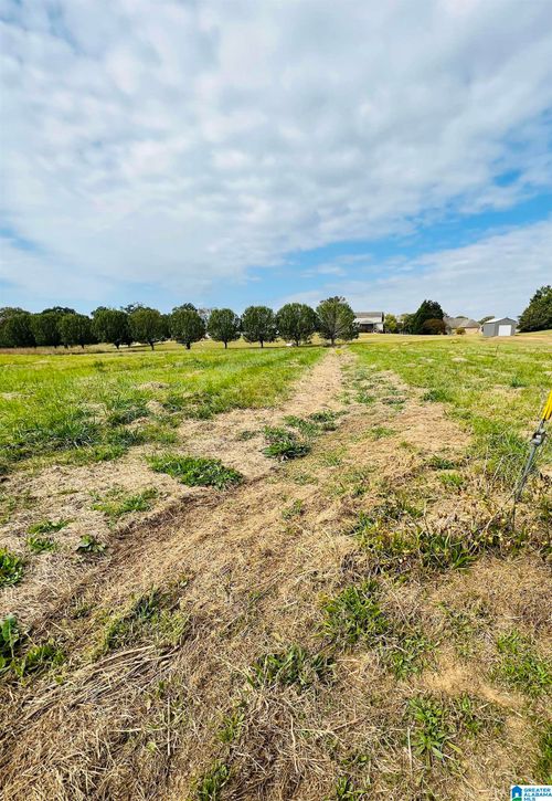 32-90 Lauren Lane, MOODY, AL, 35004 | Card Image