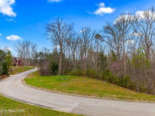 Lot 106 Turtle Dove Trl, Dandridge, TN, 37725 | Card Image