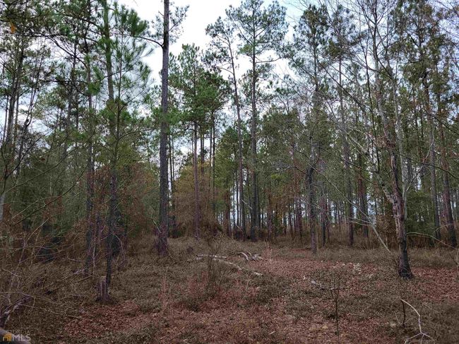 2757 Us Highway 1 N, Home with 0 bedrooms, 0 bathrooms and null parking in swainsboro GA | Image 40