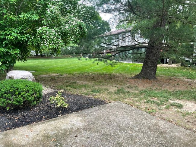 View of grassy yard | Image 18