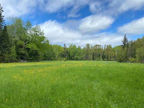 10891 Highway 71, Mizpah, MN, 56660-9530 | Card Image