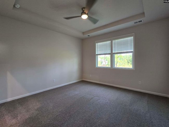604 Basalt Ct, House other with 3 bedrooms, 3 bathrooms and null parking in Chapin SC | Image 13