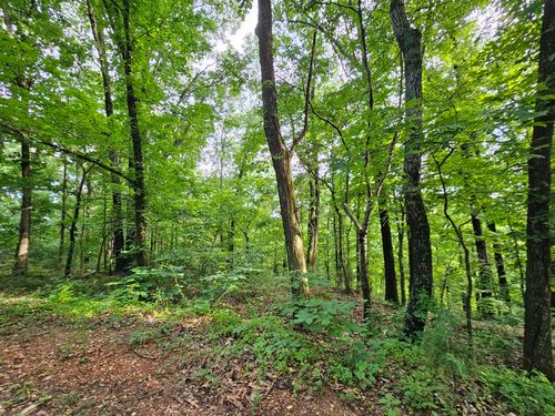 20 Ac Jesse James Road, Pineville, MO, 64856 | Card Image
