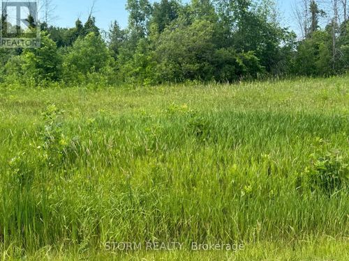 Lot 18 County 18 Road, South Stormont, ON, K0C1P0 | Card Image
