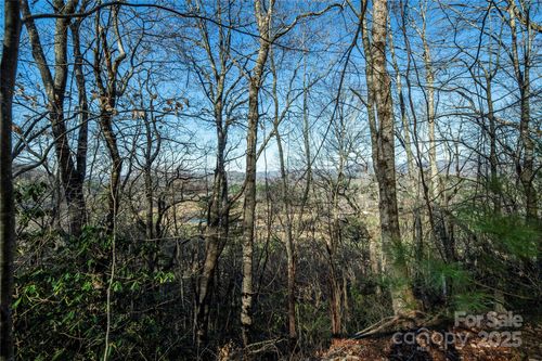 l1-TBD Three Mile Knob Road, Pisgah Forest, NC, 28768 | Card Image