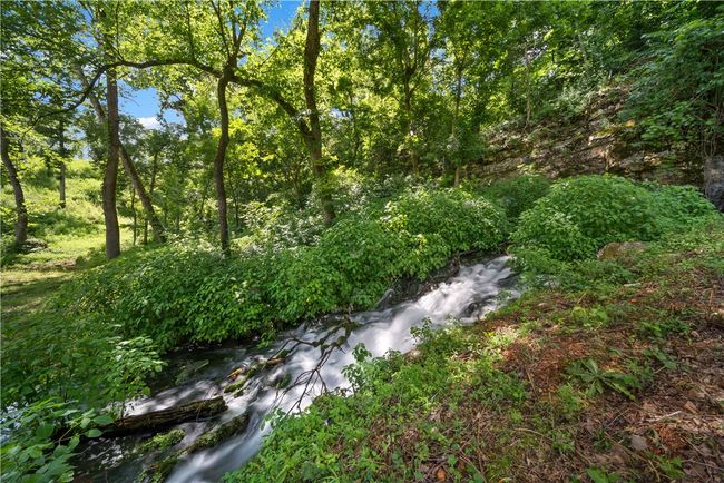 Amenity area-Stillhouse Spring waterfall | Image 16