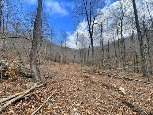 40.12 Acres Landlock Road, Marshall, AR, 72650 | Card Image