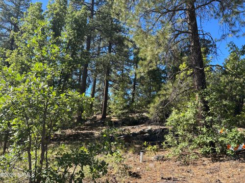 46 E Oak Dr, Munds Park, AZ, 86017-1285 | Card Image