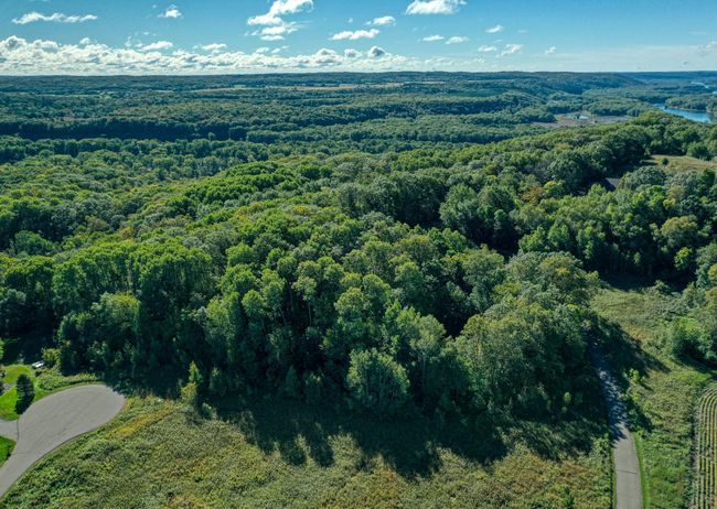 DJI_0393.jpg | Image 13