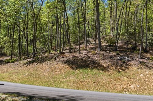 Lot 50 Wildcat Wilderness Reserve Parkway, Deep Gap, NC, 28618 | Card Image