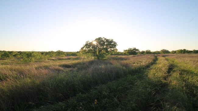 3609 Fm 1086, Home with 0 bedrooms, 0 bathrooms and null parking in Ovalo TX | Image 10