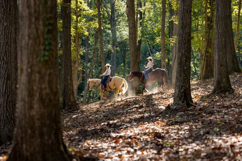 1520 Natchez Rd, Franklin, TN, 37069-4796 | Card Image