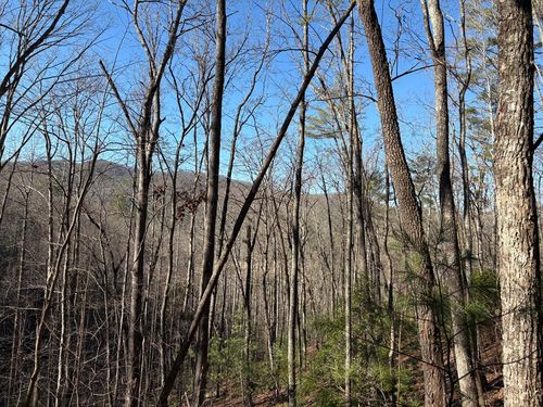 Lot 61 Laurel Trail, Suches, GA, 30572 | Card Image