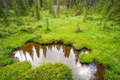 NHN Jack Creek, Basin, MT, 59631 | Card Image