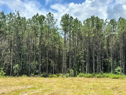 TBD Antioch Rd, Woodville, TX, 75979 | Card Image