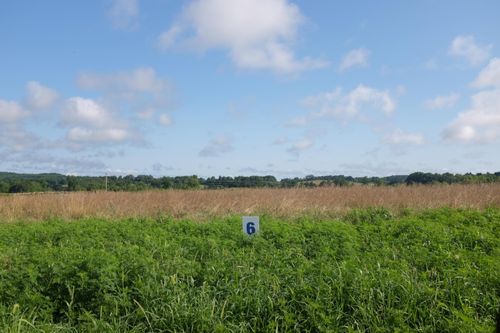 lot-6-95 Squirrel Path, East Bernstadt, KY, 40729-8314 | Card Image