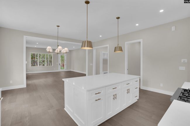 1040 Refuge Pl, House other with 4 bedrooms, 4 bathrooms and null parking in Chapin SC | Image 19