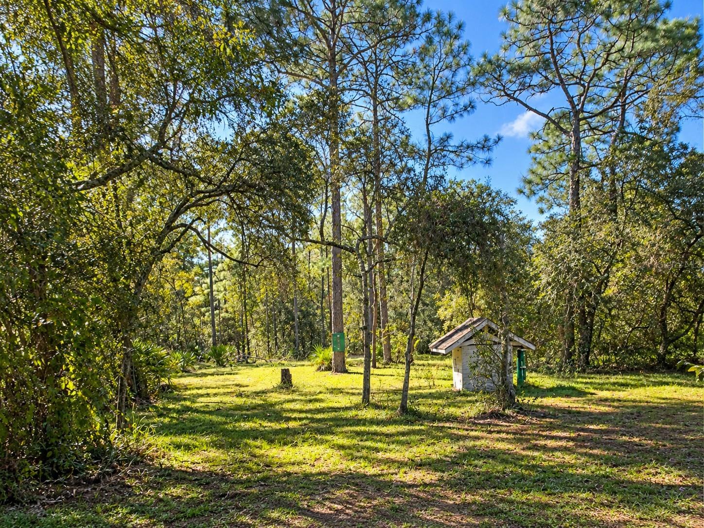 Residential in HOMOSASSA 3