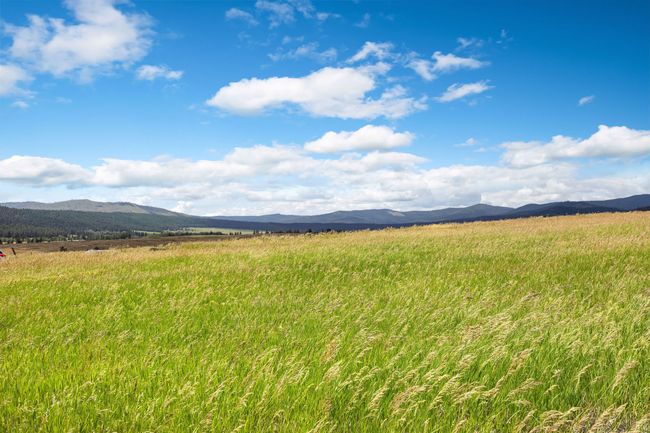 LOT-2C - NHN Lake Mary Ronan Road, Home with 0 bedrooms, 0 bathrooms and null parking in Dayton MT | Image 50