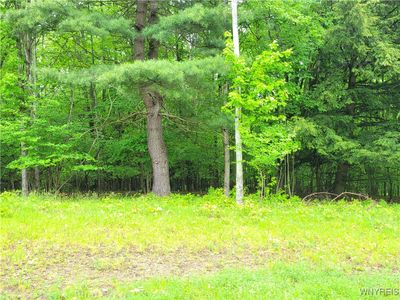 0 Cr 24  Lot 18, Home with 0 bedrooms, 0 bathrooms and null parking in Grove NY | Image 1