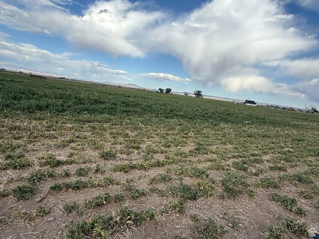 View of nature with rural landscape | Image 10