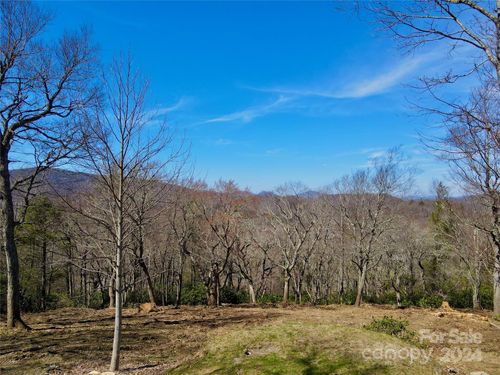 239-239 Thunder Wood Trail, Blowing Rock, NC, 28605 | Card Image