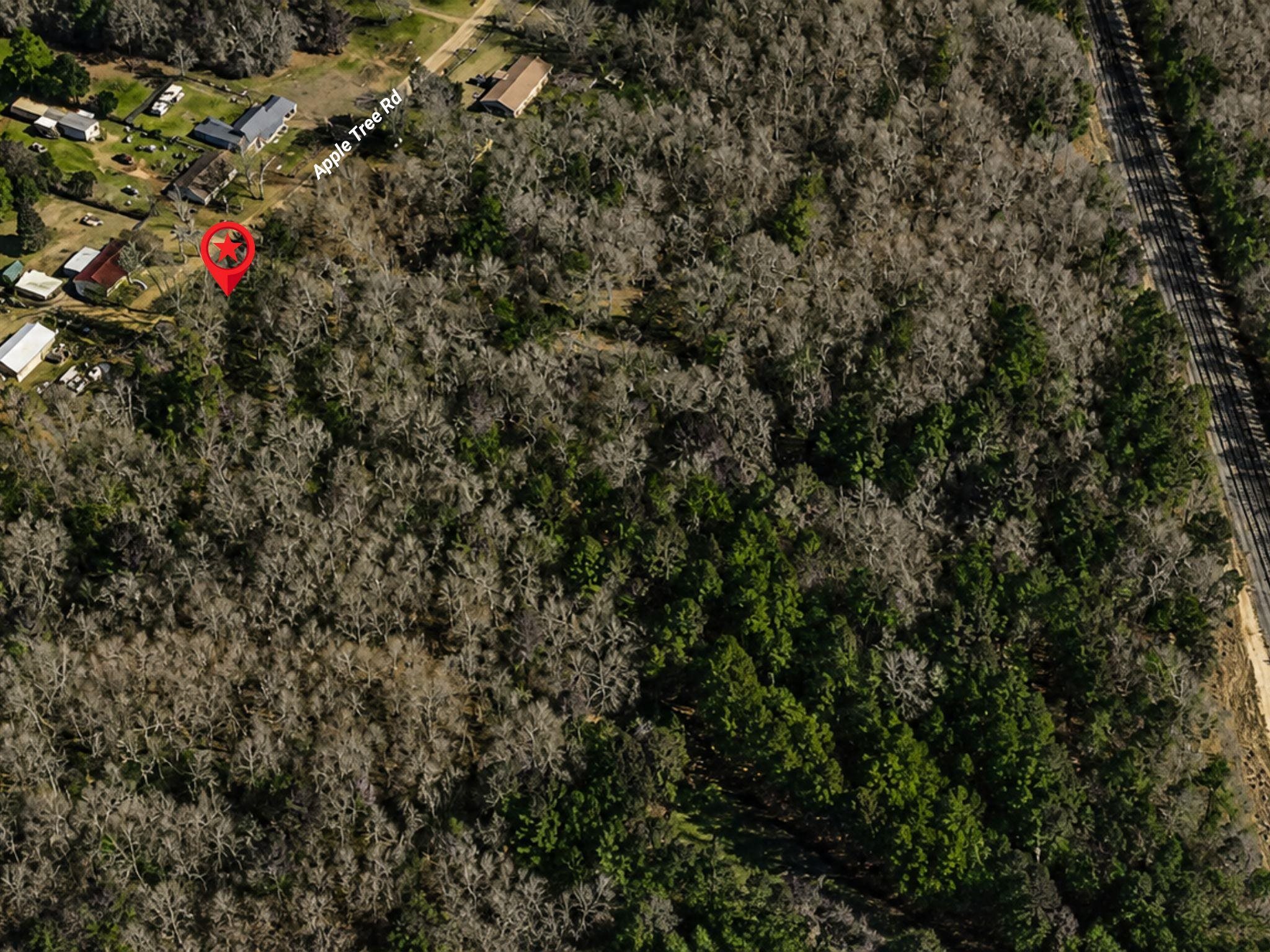 Land in Gilmer 4