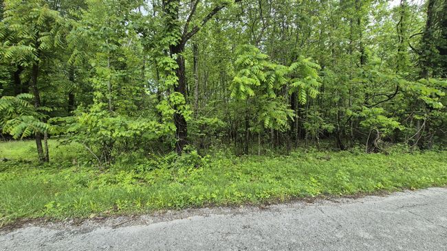 405 Spring St, House other with 3 bedrooms, 2 bathrooms and null parking in Monteagle TN | Image 29
