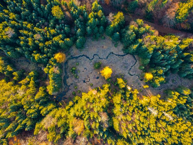 134 Haystack Mountain Road, House other with 4 bedrooms, 1 bathrooms and null parking in Piercefield NY | Image 10