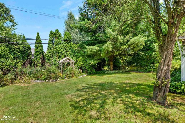 50184629-f779dbdd-0190-4d0b-ad44-edfe13baf0a8.JPG | Image 35